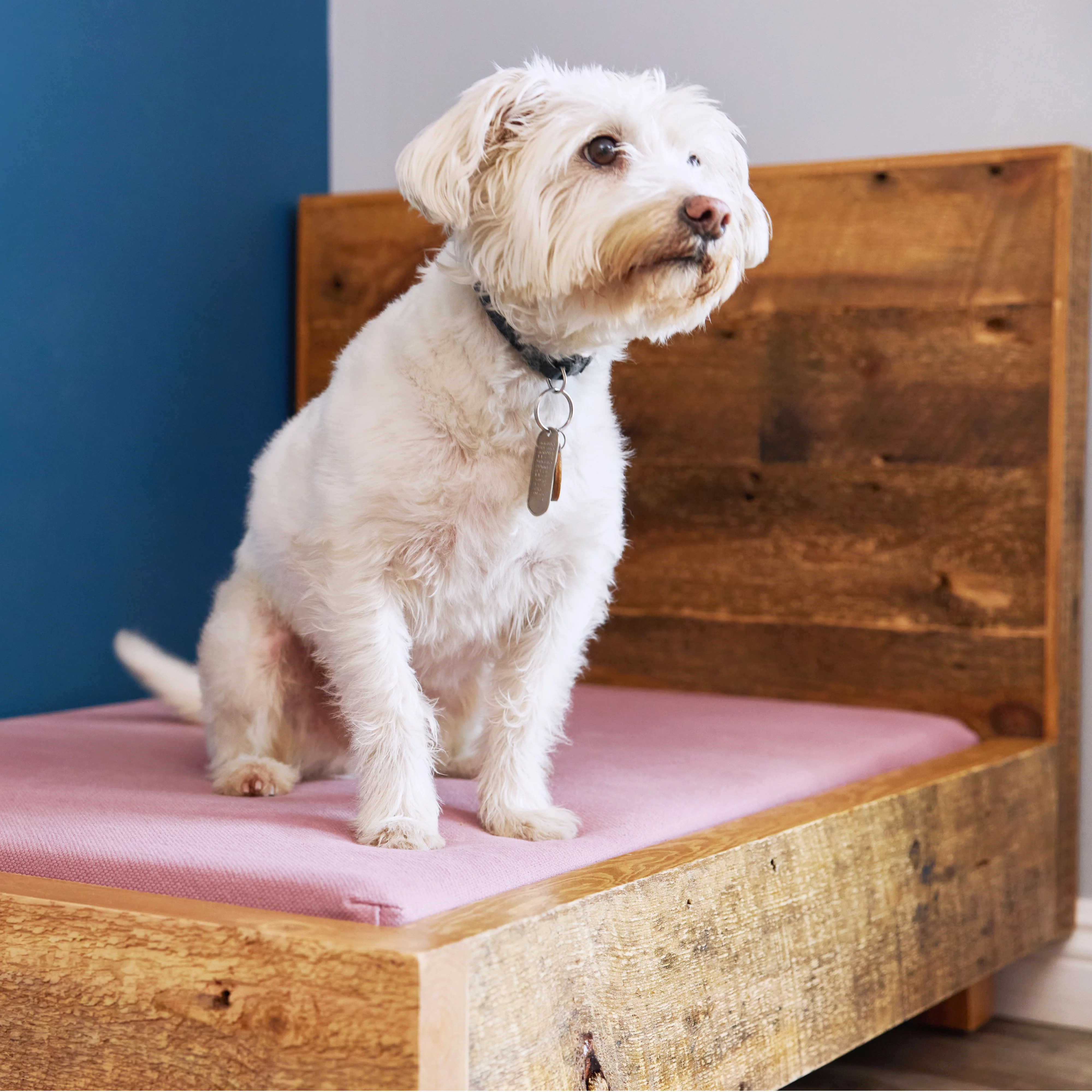 Dog Bed Frame - Image 4