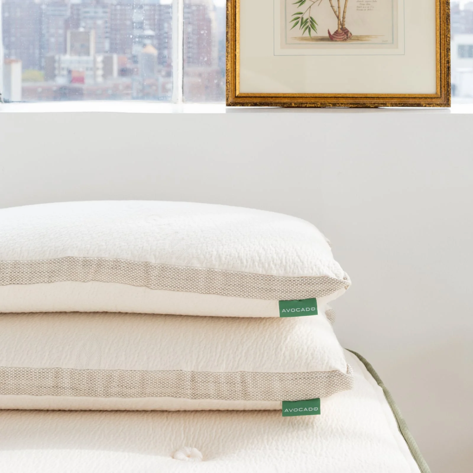 Avocado Molded Latex Pillow - Image 7