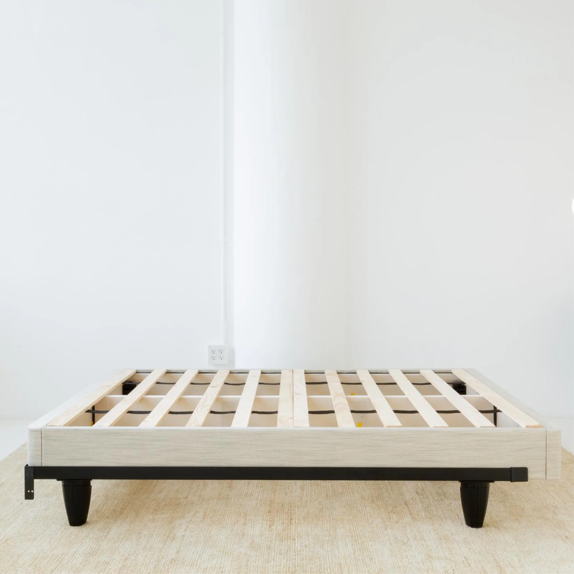 Avocado Foundation - Image 5