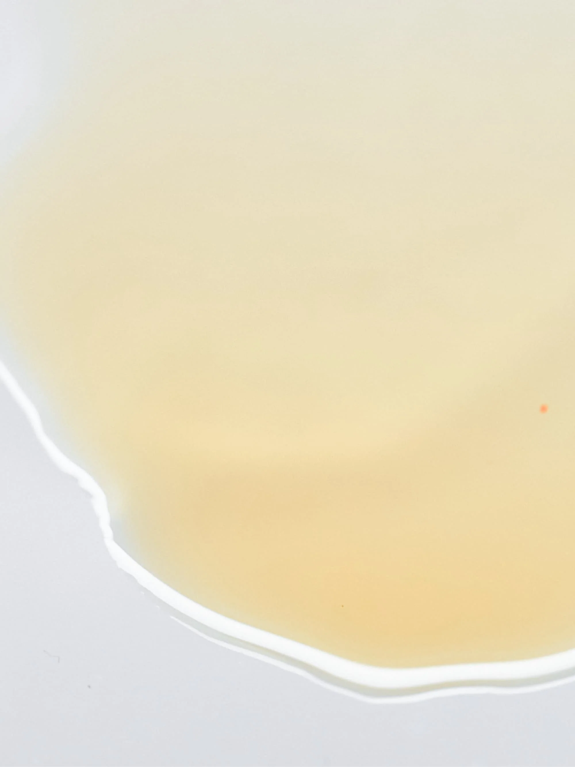 Grounding Dry Body Oil - Image 4