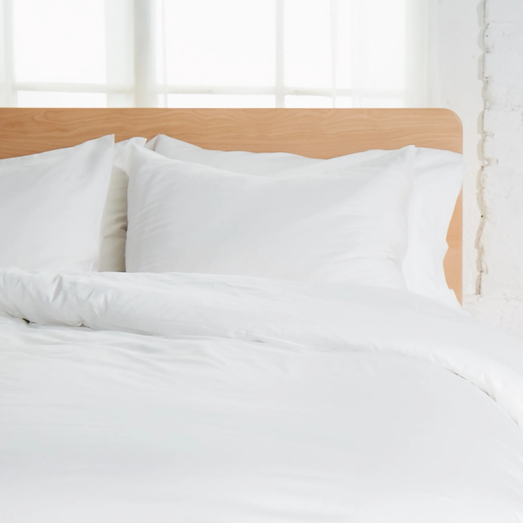 Sateen Organic Cotton Shams 300TC - Image 6